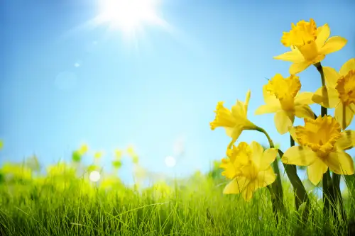 Click Here To Enlarge This Photo Of Getting In Ahead of The Crowd&colon; Why Spring is the Perfect Time for Air Con Installation