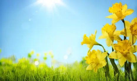 Getting In Ahead of The Crowd&colon; Why Spring is the Perfect Time for Air Con Installation