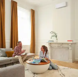 Click Here To View Larger Image